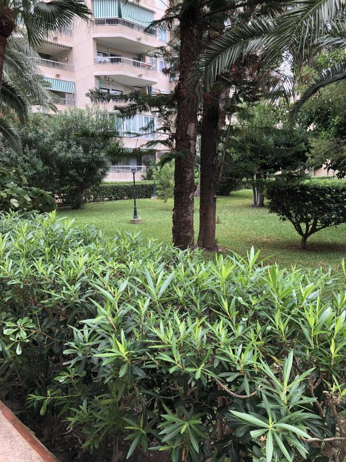 Apartamento Parque 2 Playa De Gandia Exteriör bild