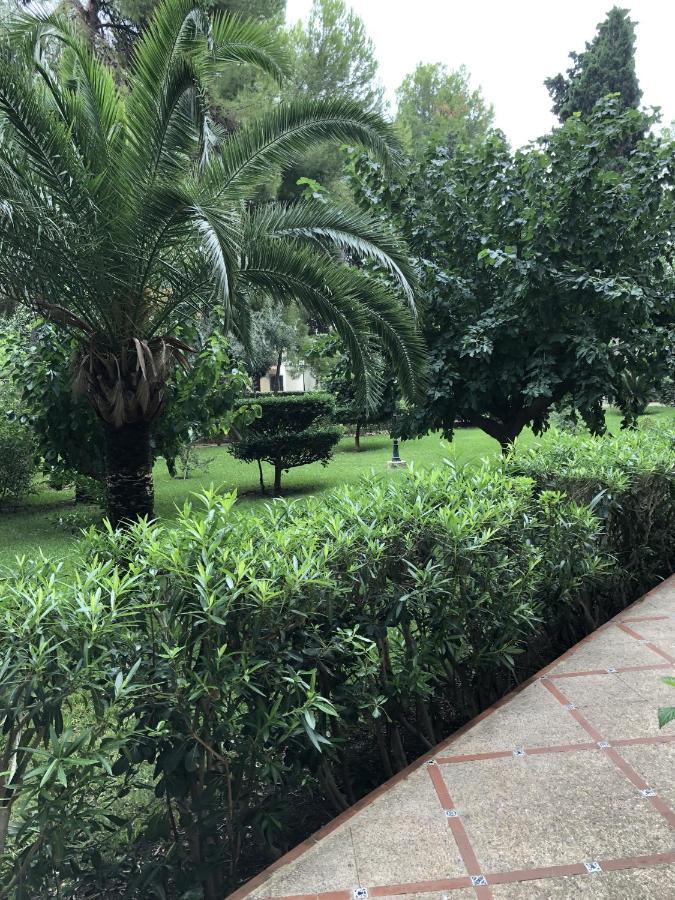 Apartamento Parque 2 Playa De Gandia Exteriör bild